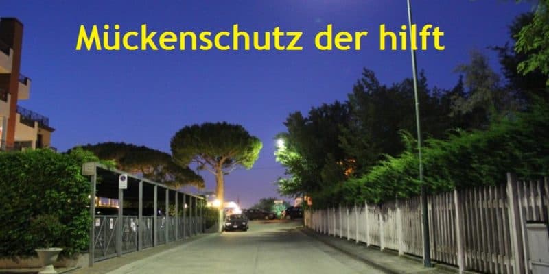Mückenschutz der hilft